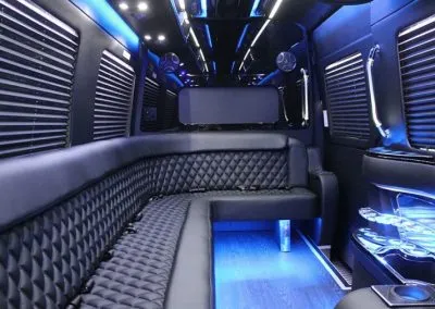 Mercedes-Benz Sprinter Limousine interior, photo 3 for limo rental Mercedes-Benz Sprinter Limousine interior, photo 3 for limo rental